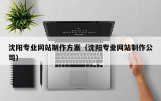 垦利沈阳专业网站制作方案（沈阳专业网站制作公司）